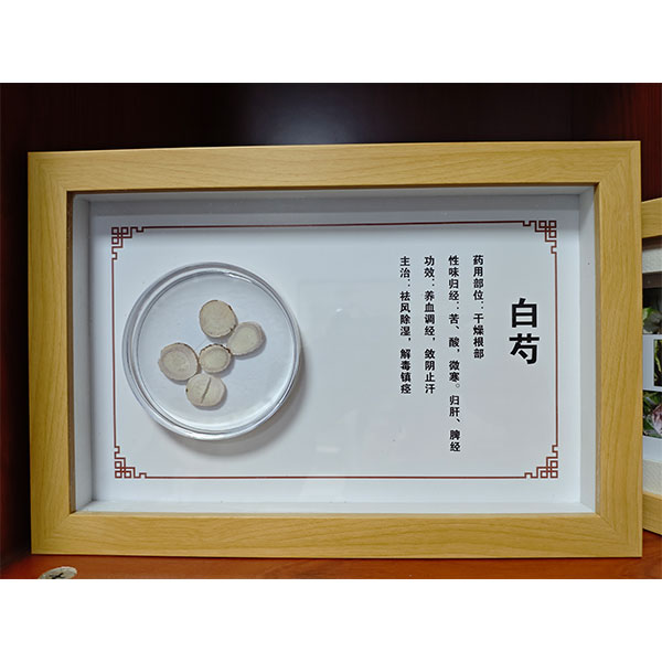包埋标本