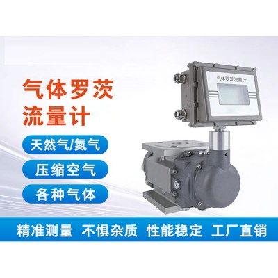气体罗茨流量计